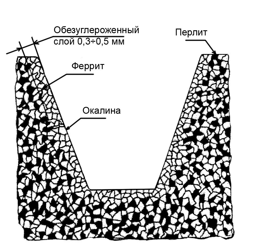 Рис. 4. Структура металла в сечении штампованного зуба