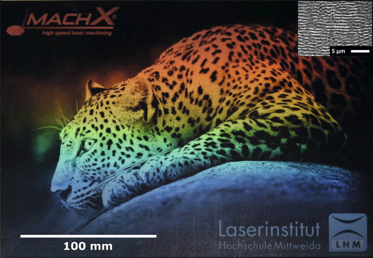 Рис. 8. Пример высокоскоростной лазерной микропроцессорной обработки: поверхность из нержавеющей стали AISI 304 с волнистой текстурой большой площади [7]