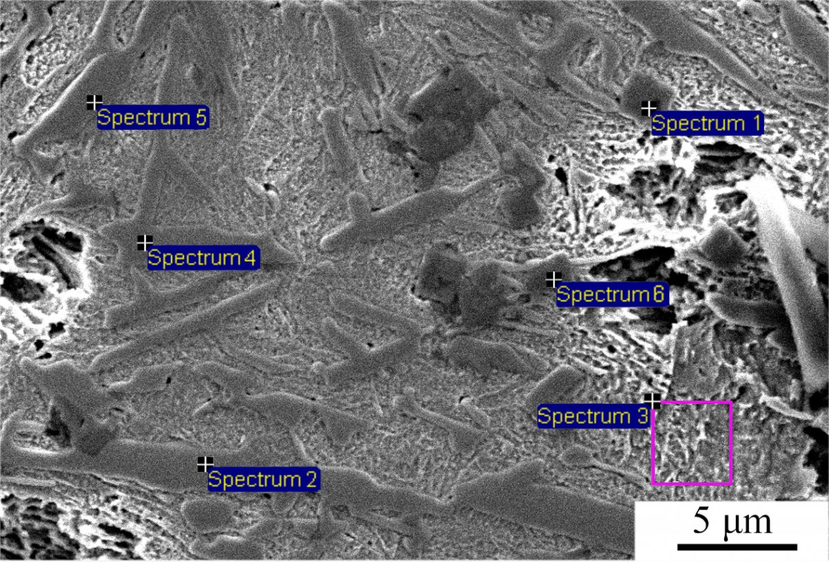 Рис. 2. Общий вид характерного участка структуры металла с боридами, полученный растровой электронной микроскопией с расположением областей сканирования 