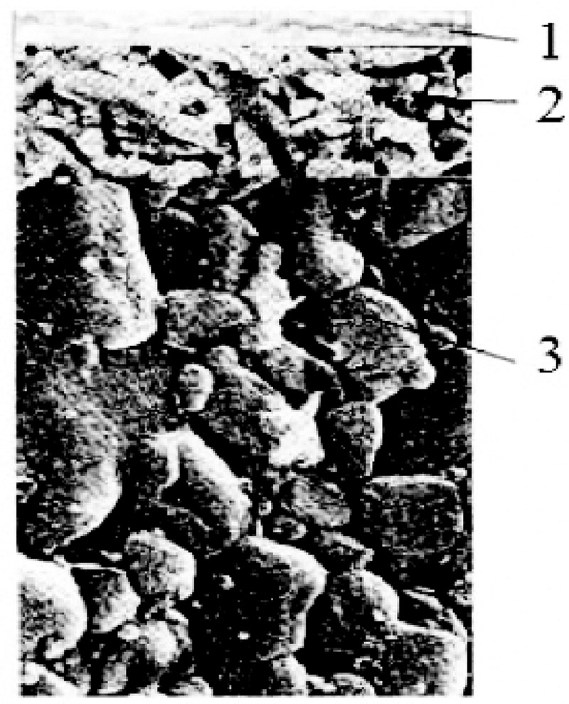 Рис. 4. Пример архитектуры слоисто-композиционной керамики:  1 — нанодисперсное многослойно-композиционное покрытие; 2 — керамический слой;  3 — твердосплавный субстрат