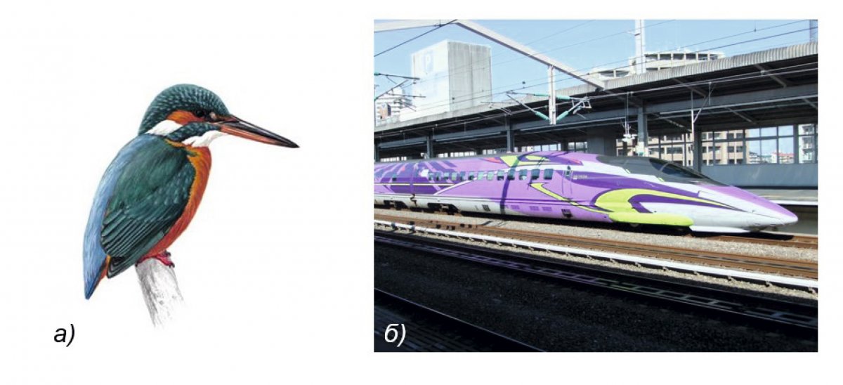Рис. 5. Птица семейства зимородковых (а) и обтекатель скоростного японского поезда Shinkansen 500 (б) [14, 15]