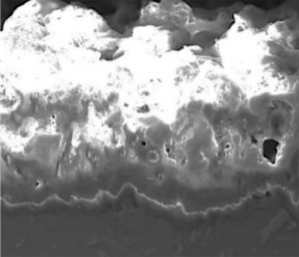 Рис. 3. Изображение поперечного сечения покрытия на переходе днища поршня к огневому поясу
