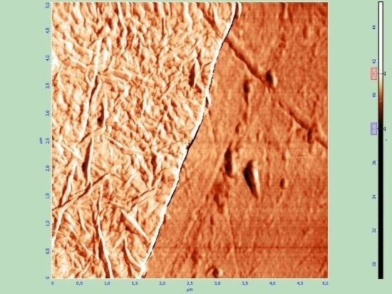 Пленка оксида графена на подложке биосенсора. Изображение получено на атомно-силовом микроскопе. (с) Иван Комаров
